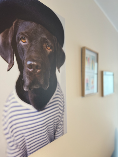 Wohnzimmer - Bild mit Hund